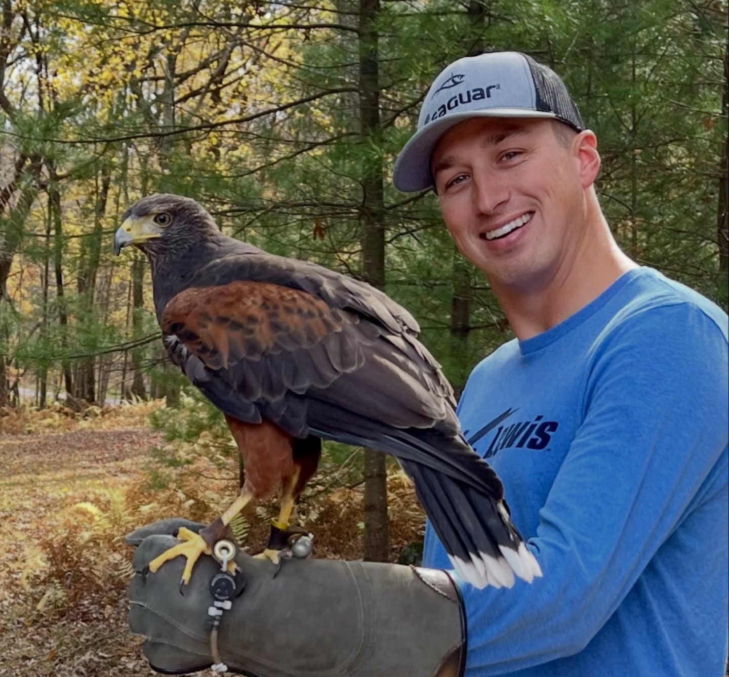 Falconry experience