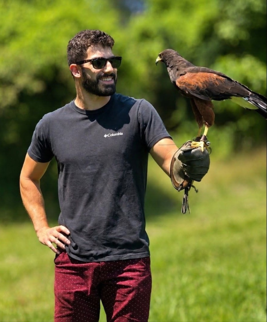 Falconry experience