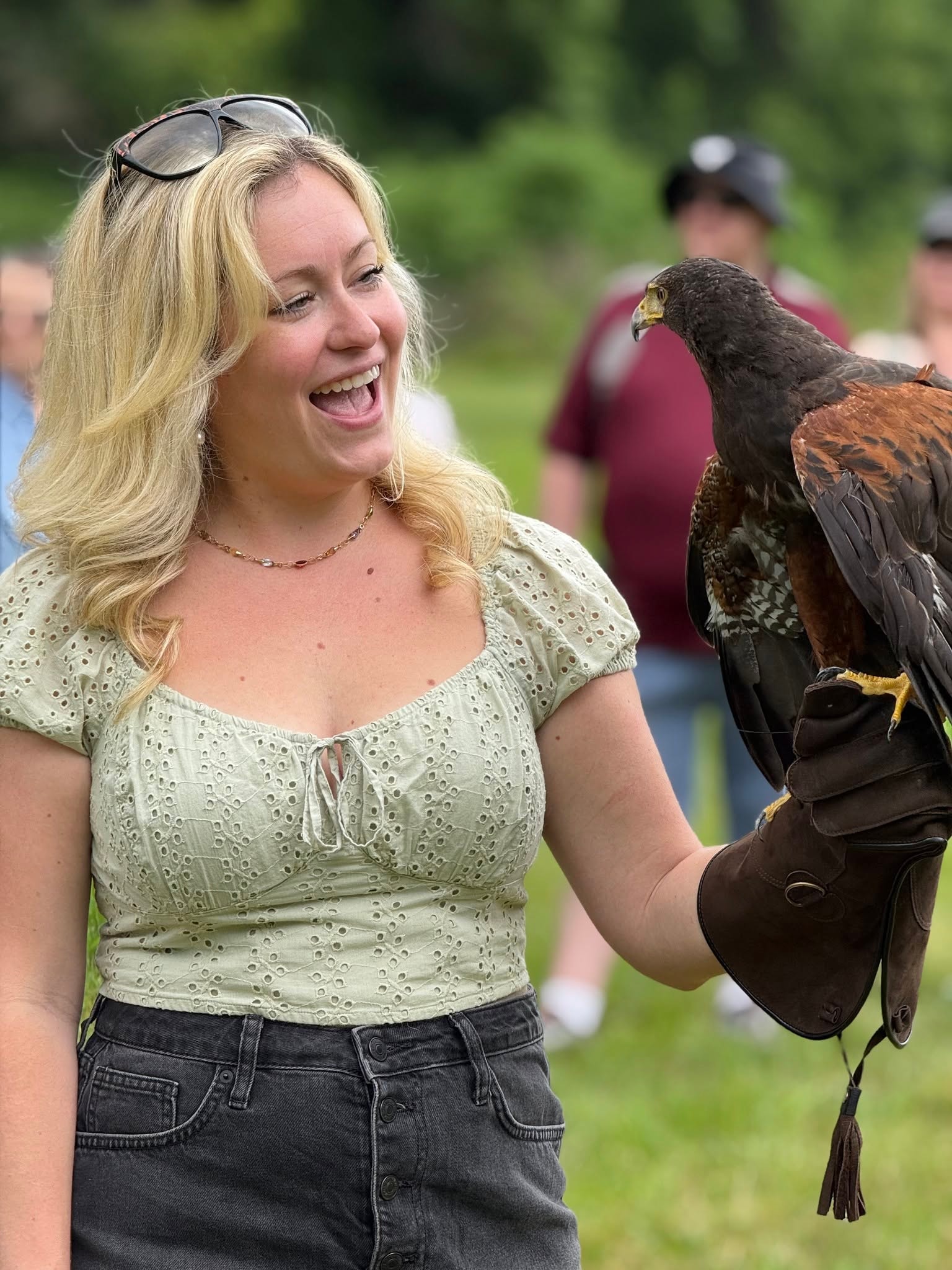 Falconry experience