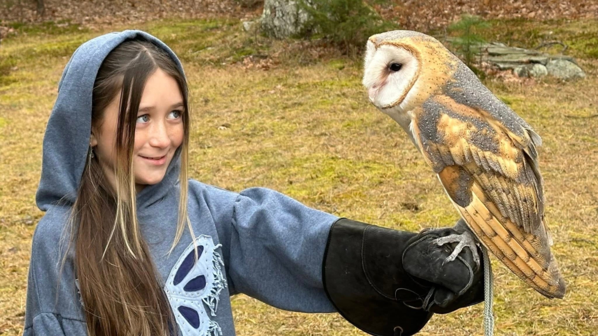 Guest falconry experience