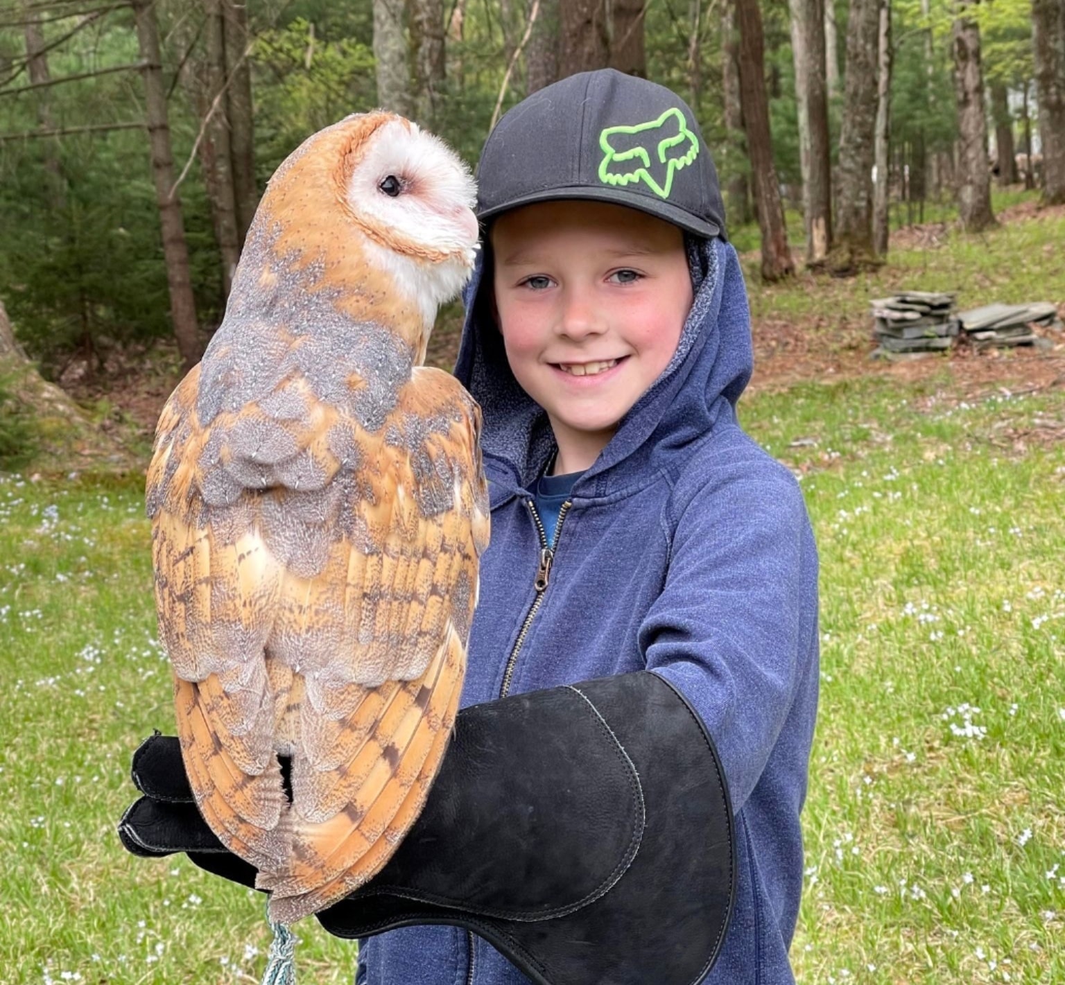 Guest falconry experience